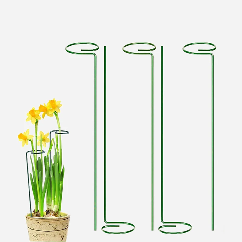 5/10PCS Metal Stake Garden Plant Support Stakes Single Stem Support Plant Cage Rings for Amaryllis Tomatoes Orchid Lily Peon
5/10PCS Metal Stake Garden Plant Support Stakes Single Stem Support Plant Cage Rings for Amaryllis Tomatoes Orchid Lily Peon