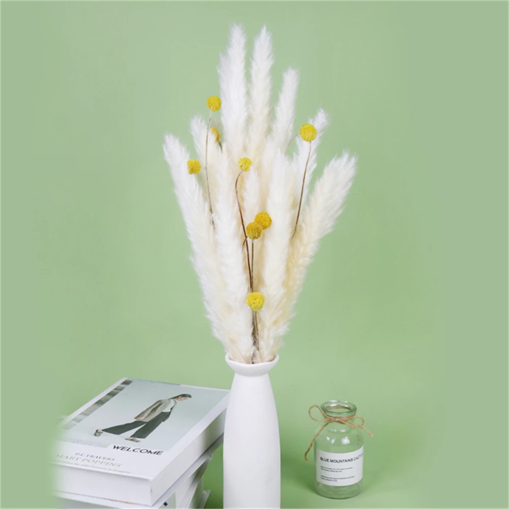 Pampas Grass Dried Flowers Home Decoration Flower Wall Bedrooms Wedding Supplies Plants Centerpiece Vase Fall Decor Autumn Knows
Pampas Grass Dried Flowers Home Decoration Flower Wall Bedrooms Wedding Supplies Plants Centerpiece Vase Fall Decor Autumn Knows