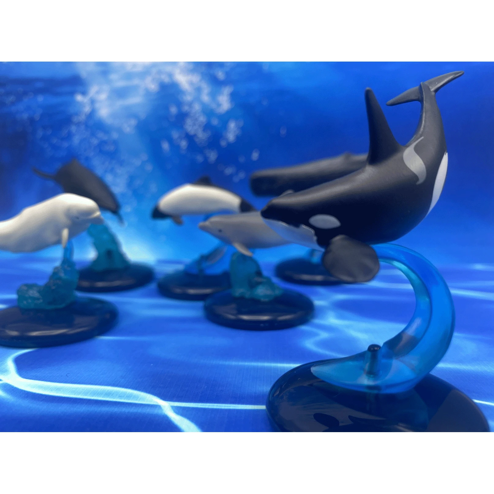 

BANDAI Genuine Sea Life Whale Dolphin Ornament Capsule Action Figure Finished Product Marine Organism Model Toys