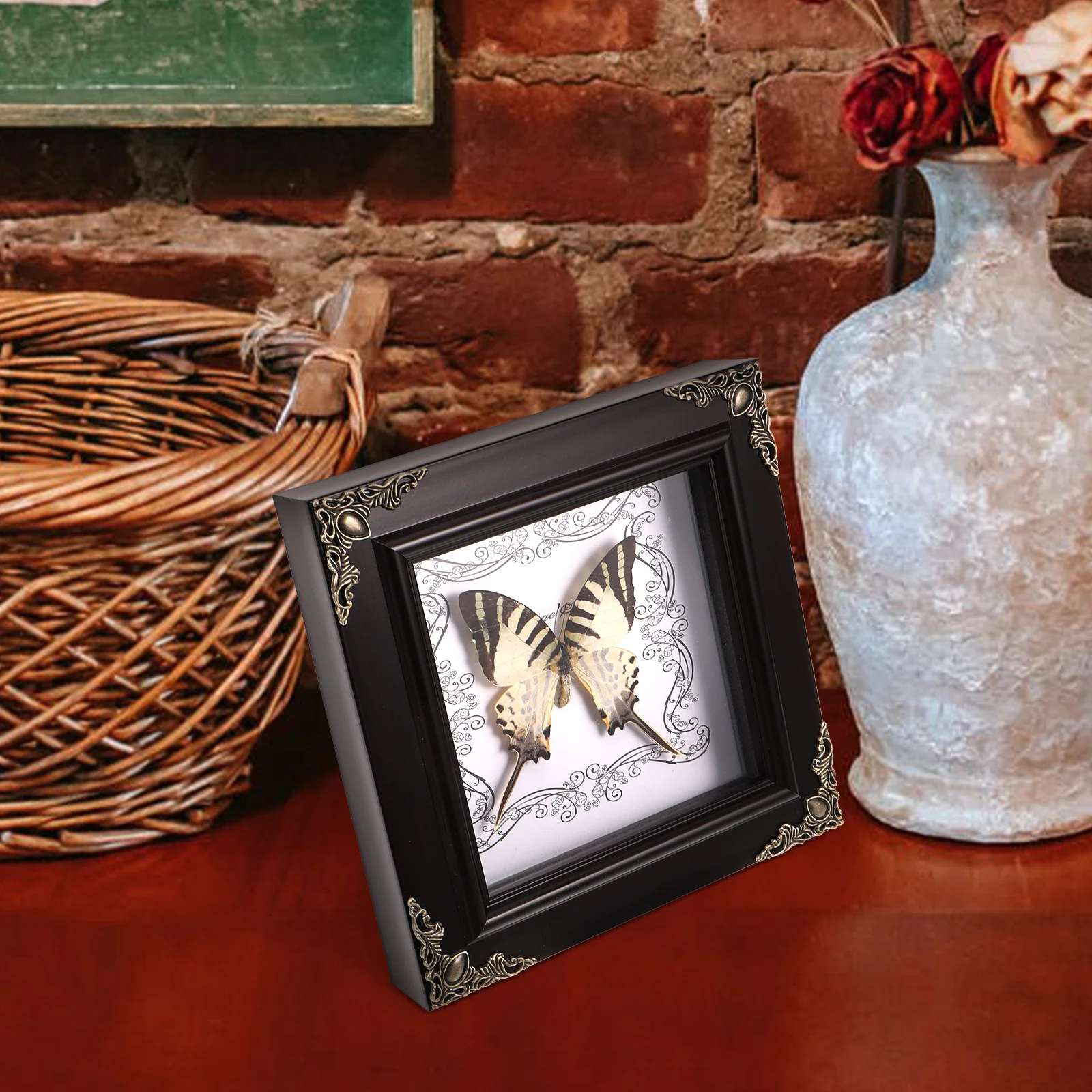 Insect Butterfly Specimen Photo Frame Office Picture Frames Framed Plastic Handmade
Insect Butterfly Specimen Photo Frame Office Picture Frames Framed Plastic Handmade