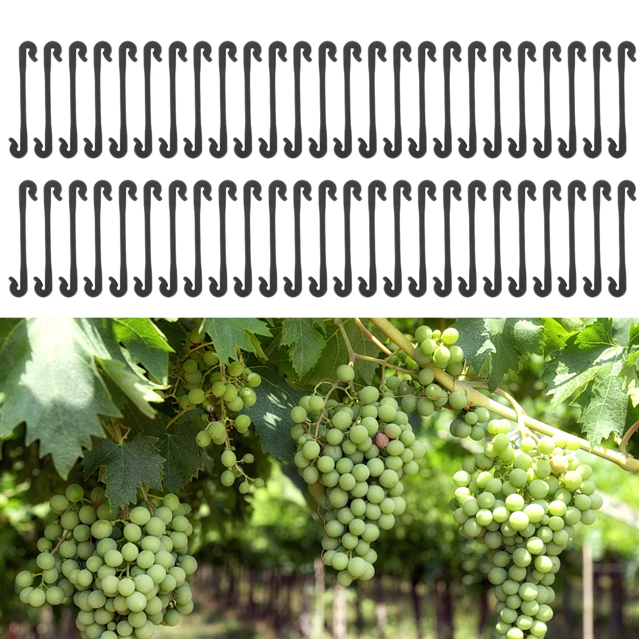 50Pcs J Type Fruit Cherry Tomato Clip Trellis Garden Vegetable Binder Twine Plant Grape Sup 05
50Pcs J Type Fruit Cherry Tomato Clip Trellis Garden Vegetable Binder Twine Plant Grape Sup 05