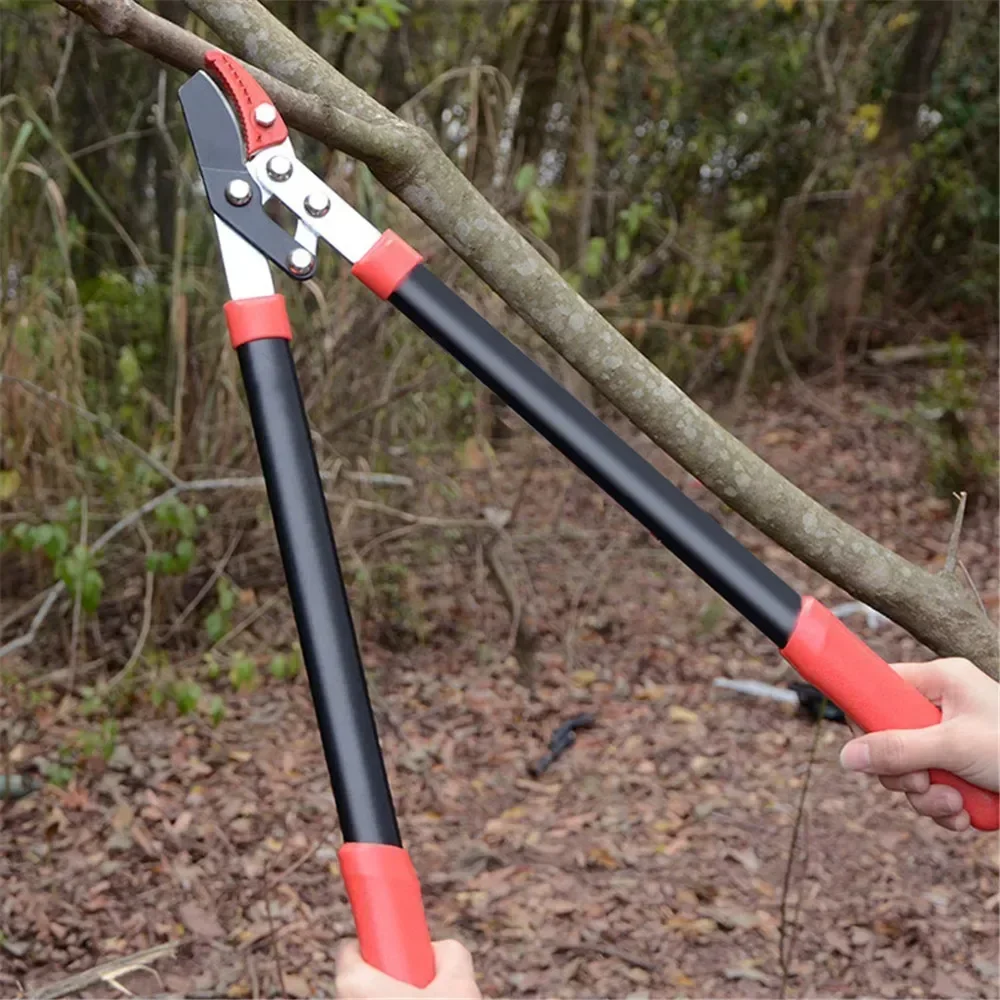 Shears Long Pruner Garden Branch Scissors Hand Tools Gardening Fruit SK5 Steel Garden Tools Professional Tree Pruning
Shears Long Pruner Garden Branch Scissors Hand Tools Gardening Fruit SK5 Steel Garden Tools Professional Tree Pruning