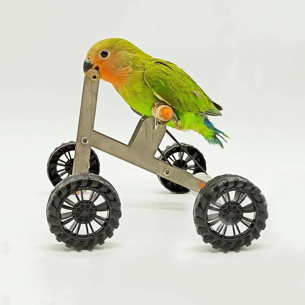 

Pet Bicycle Training Toy Durable Parrot Toy Parrot Training Bicycle Toy Fun Bird Foot Exercising Tool for Cockatiels Conures
