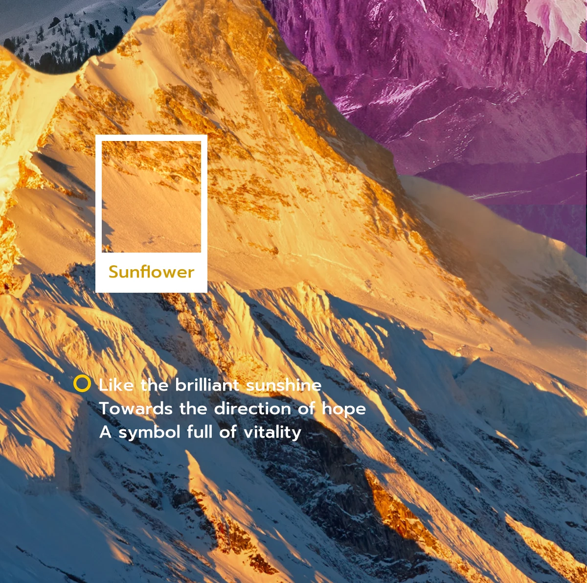 ناقلات الرجال النساء 3L القطن سترة تزلج بناطيل تزلج شتاء دافئ يندبروف مقاوم للماء الرياضة في الهواء الطلق على الجليد معطف التزلج بنطلون ناقلات الرجال النساء 3L القطن سترة تزلج بناطيل تزلج شتاء دافئ يندبروف مقاوم للماء الرياضة في الهواء الطلق على الجليد معطف التزلج بنطلون