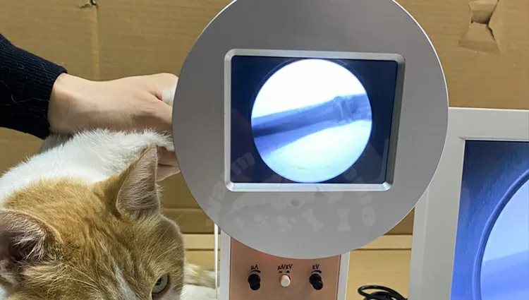 

Портативный ветеринарный рентгеновский аппарат, цена/Ручной цифровой ветеринарный рентгеновский аппарат для ветеринарной больницы, домашних животных