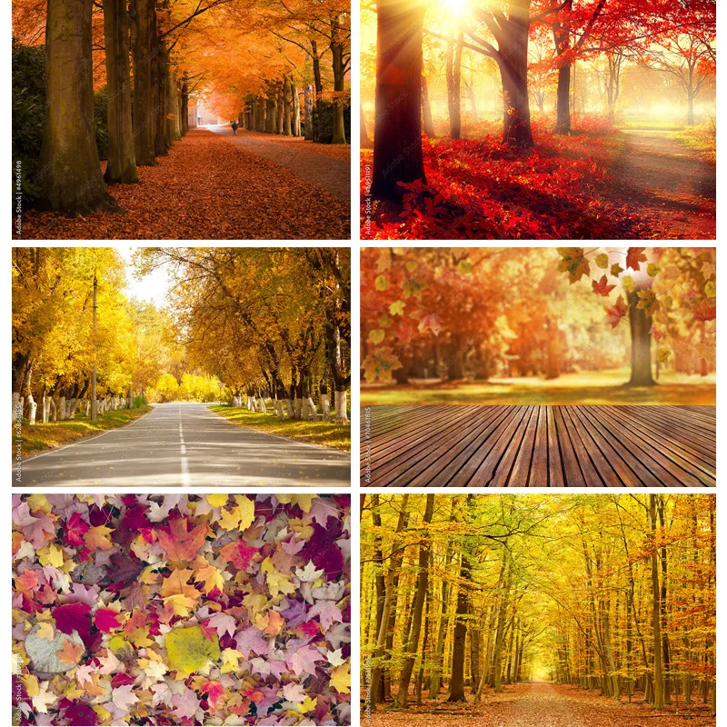 Natural Scenery Photography Background Fall Leaves Forest Landscape Travel Photo Backdrops Studio Props QQTT-01
Natural Scenery Photography Background Fall Leaves Forest Landscape Travel Photo Backdrops Studio Props QQTT-01