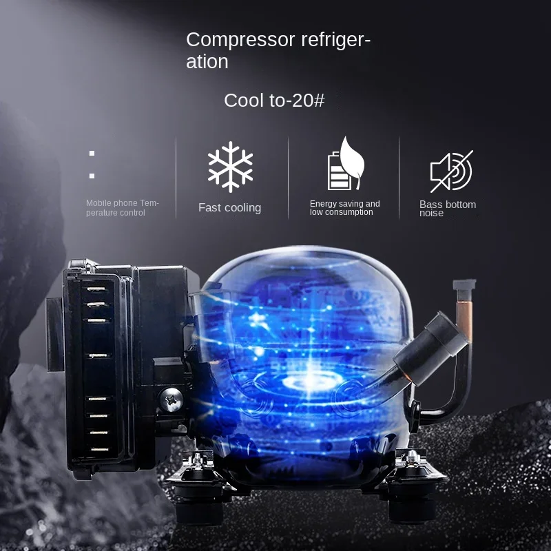 

Frozen Car Refrigerator Compressor Refrigeration 20L Dual Use in Car and Home 12 V24v Mini Refrigerator