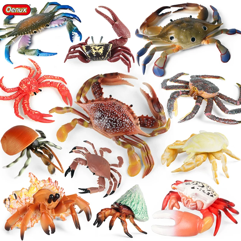 

Моделирование Oenux, морские животные, морской Краб Hermit, портативная модель, фигурки, детские образовательные игрушки, подарок