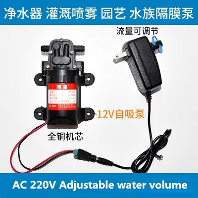 

220V AC Mini Self Priming Water Pump PWM Adjustable Volume Slotting Water Cutting Machine Drilling DC12V Pumping Diaphragm Pomp