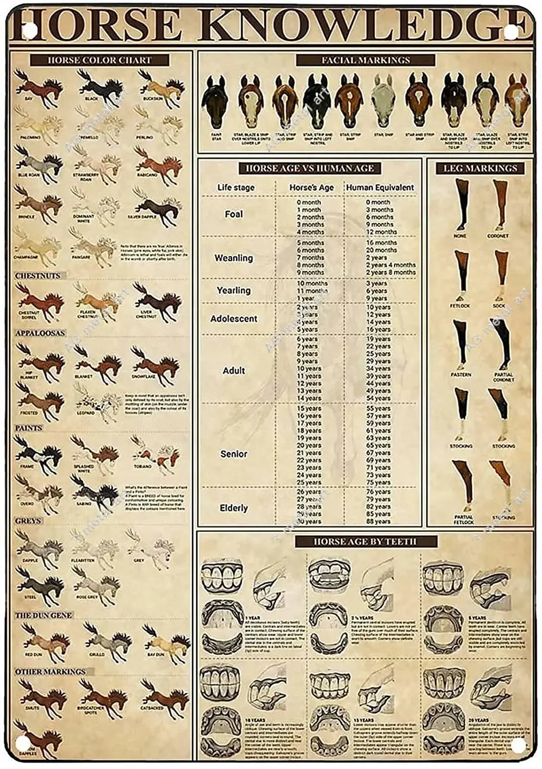 Decor Vintage Metal Tin Sign Horse Knowledge Poster Sign for Home Kitchen Cafe Farmhouse Wall Decor poster 8X12 Inch
Decor Vintage Metal Tin Sign Horse Knowledge Poster Sign for Home Kitchen Cafe Farmhouse Wall Decor poster 8X12 Inch