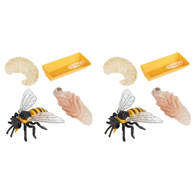 

Набор из 8 фигурок насекомых, Life Cycle Of Honey Bee, реалистичные детские игрушки, развивающая научная модель, игрушка