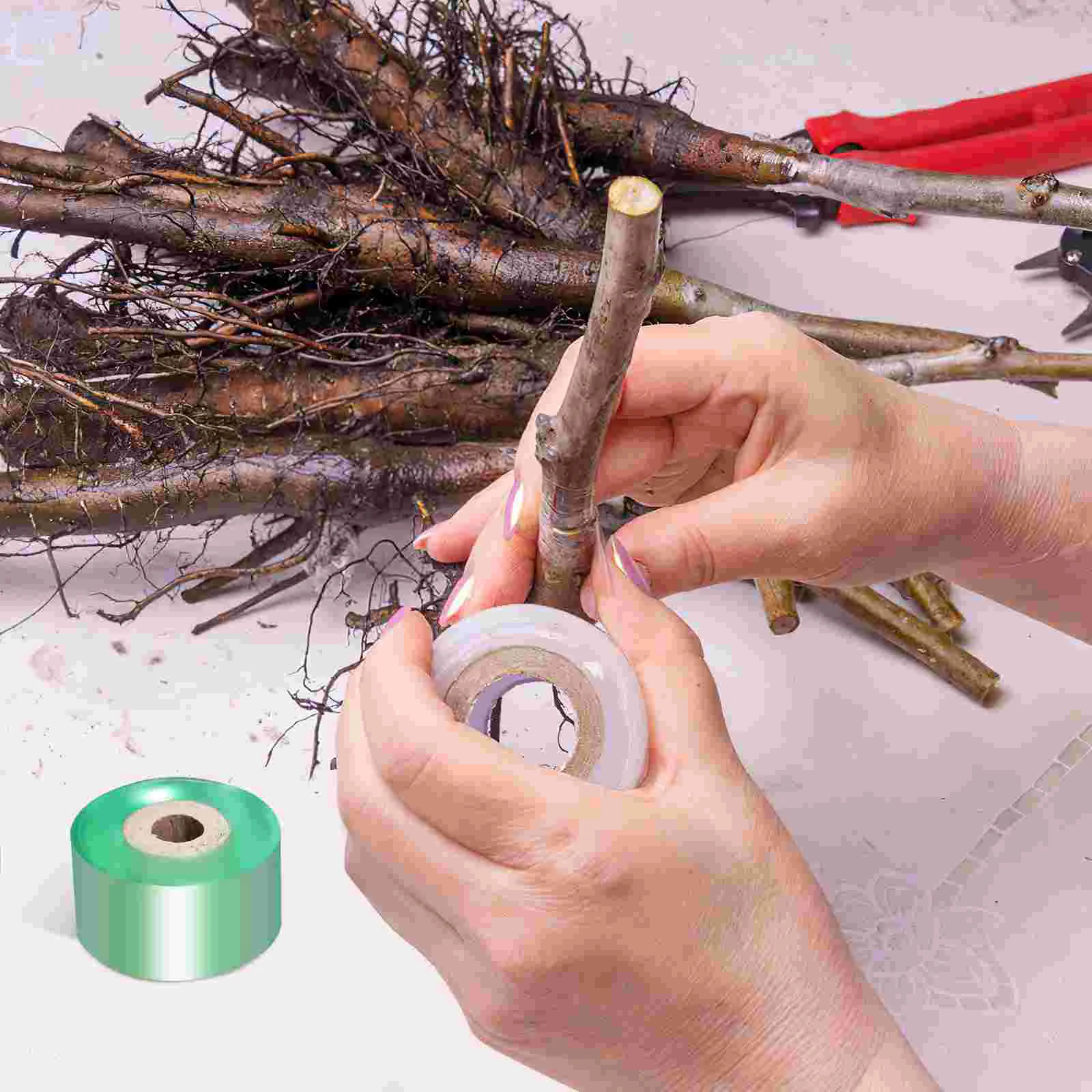 2 Rolls Grafting Film Wound Perlite For Plants Plants Repairing Perlite For Plantss Dedicated Adhesive for Trees Pvc Nursery
2 Rolls Grafting Film Wound Perlite For Plants Plants Repairing Perlite For Plantss Dedicated Adhesive for Trees Pvc Nursery