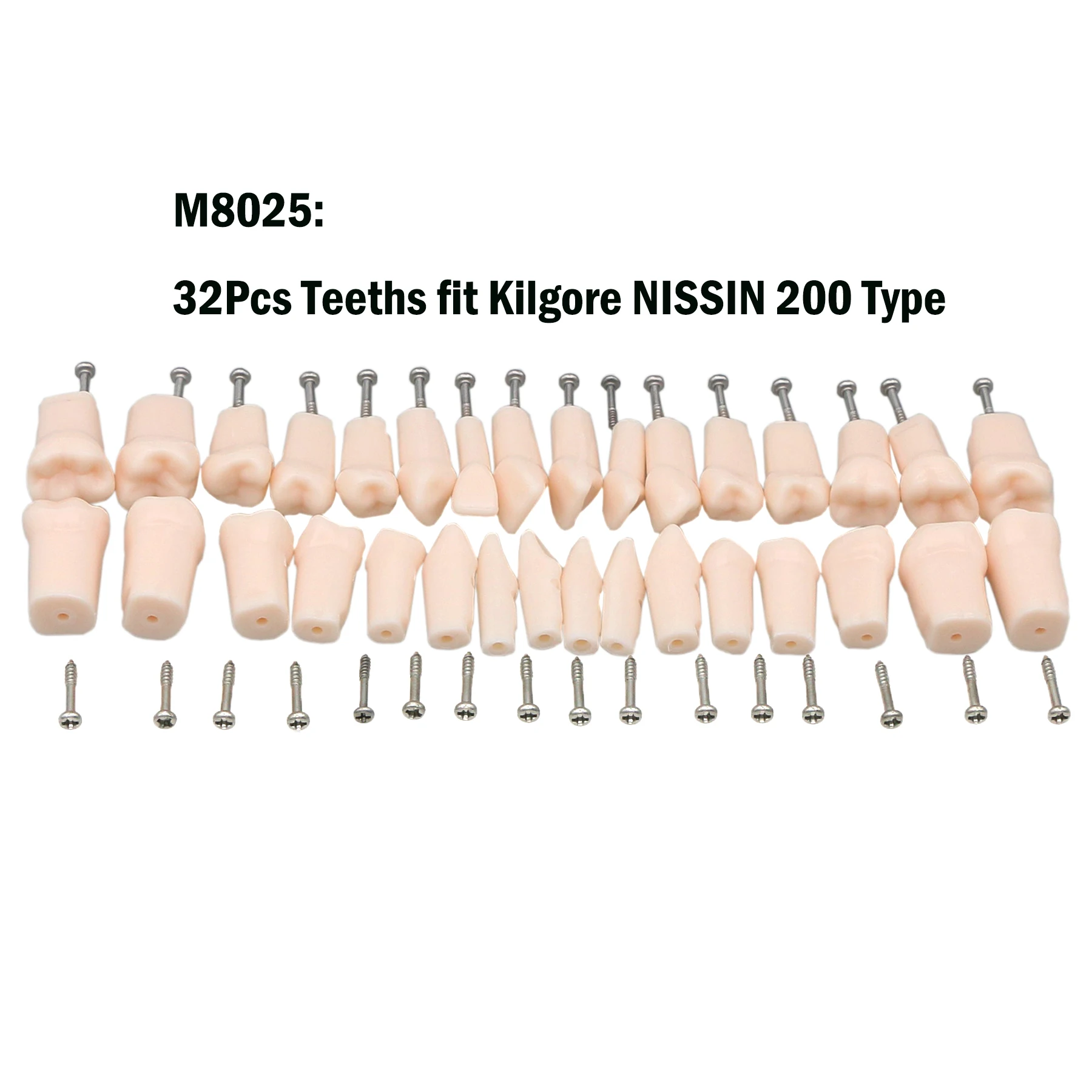 Dental Replacement Screw-in Teeth 32PCS Typodont Model fit Kilgore NISSIN 200Type
Dental Replacement Screw-in Teeth 32PCS Typodont Model fit Kilgore NISSIN 200Type