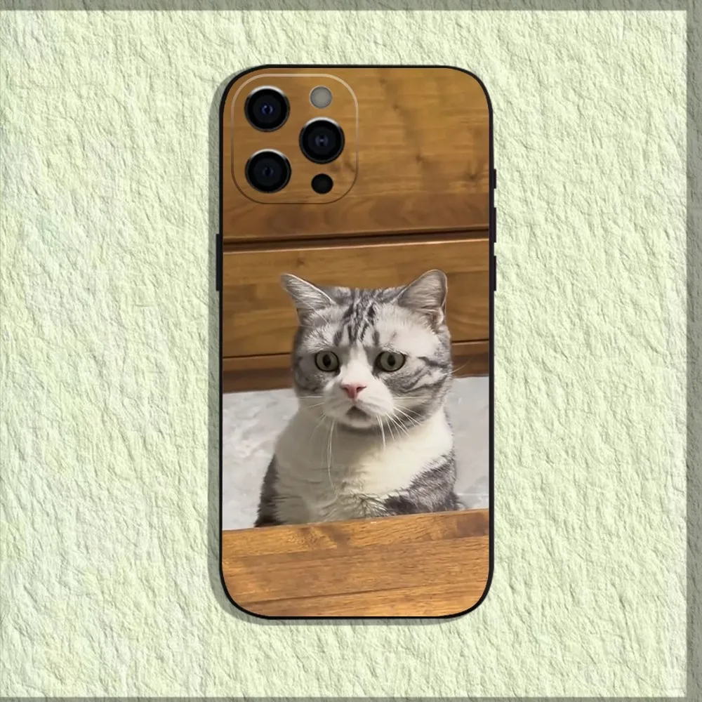 Pet Cat Funny memes Phone Case For iPhone 16,15,14,13,12,11,Pro,X,XS,Max,XR,Plus,Mini Soft Black Cover Pet Cat Funny memes Phone Case For iPhone 16,15,14,13,12,11,Pro,X,XS,Max,XR,Plus,Mini Soft Black Cover