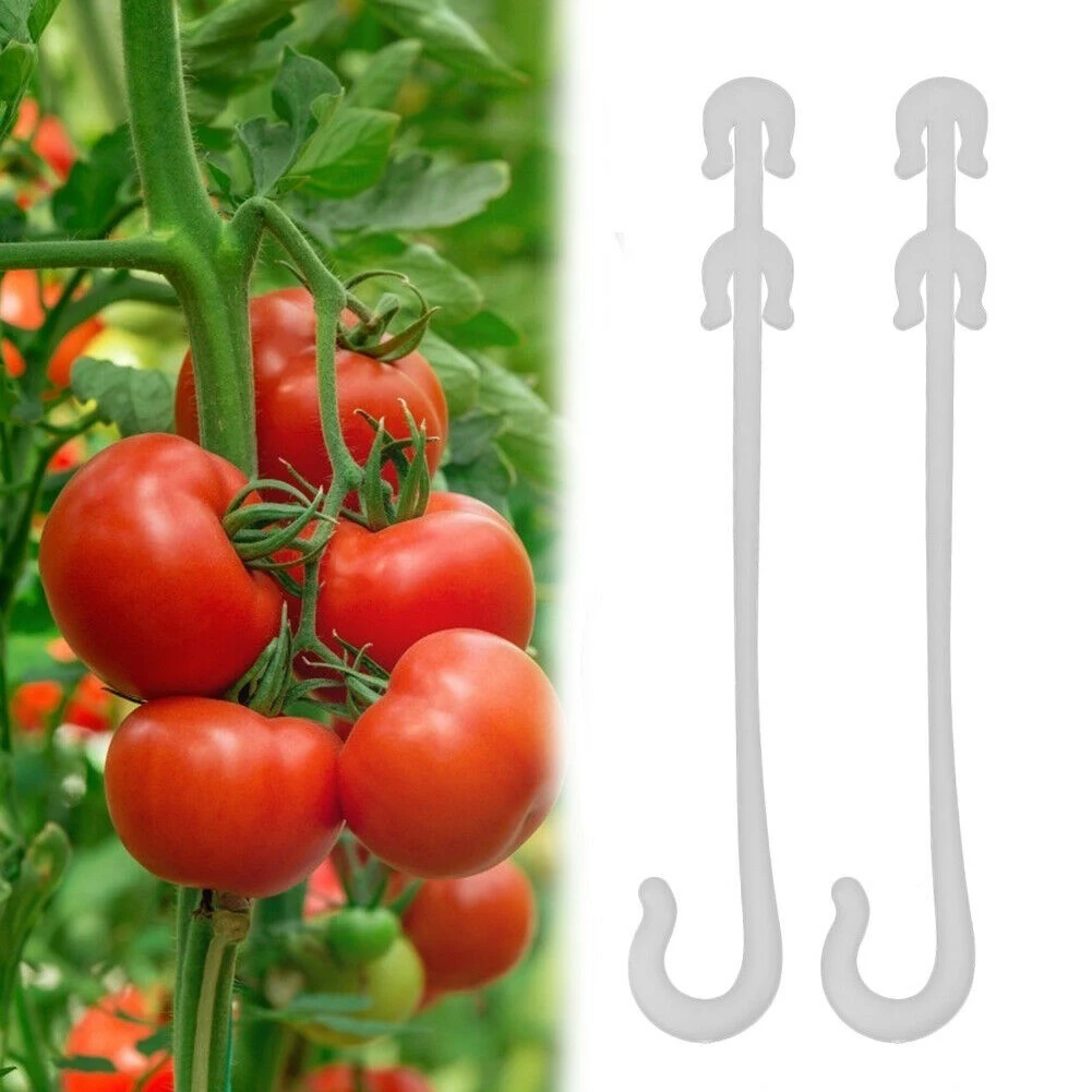 Support Your Garden's Health With 100PCS J Shaped Plant Ear Hooks Suitable For Strawberry Vine Grapevine And More
Support Your Garden's Health With 100PCS J Shaped Plant Ear Hooks Suitable For Strawberry Vine Grapevine And More