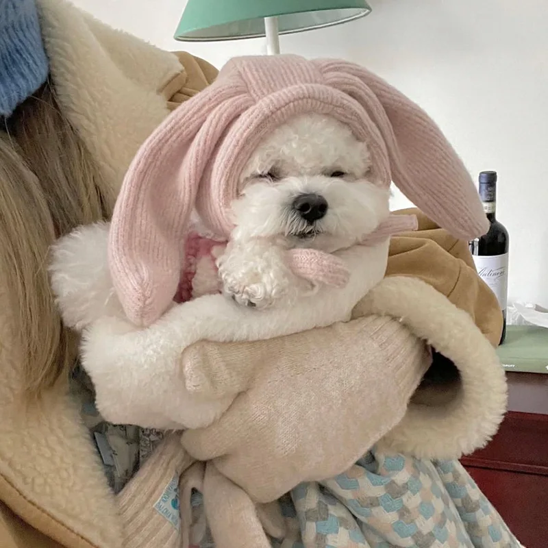 Cute And Sweet Winter Outfits For Dogs Cute And Sweet Winter Outfits For Dogs