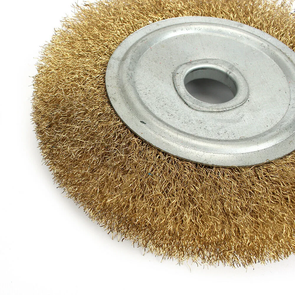 Versatile Soft Flat Brass Copper Wire Brush Wheel for Polishing Multiple Sizes Available (100/125/150/200/250mm)
Versatile Soft Flat Brass Copper Wire Brush Wheel for Polishing Multiple Sizes Available (100/125/150/200/250mm)