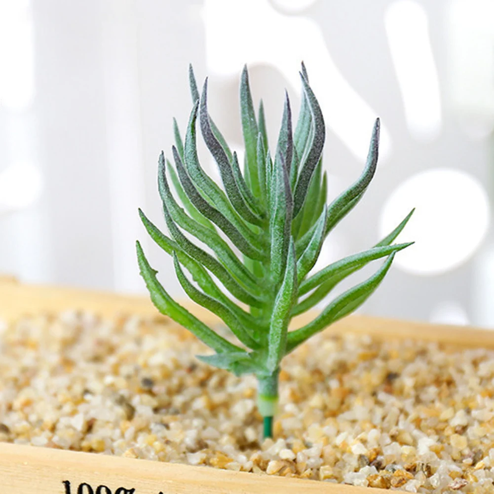 1Pcs High Quality Artificial Succulents DIY Artificial Succulent Flocked Plant Fake Cactus Lotus Home Garden Decor
1Pcs High Quality Artificial Succulents DIY Artificial Succulent Flocked Plant Fake Cactus Lotus Home Garden Decor
