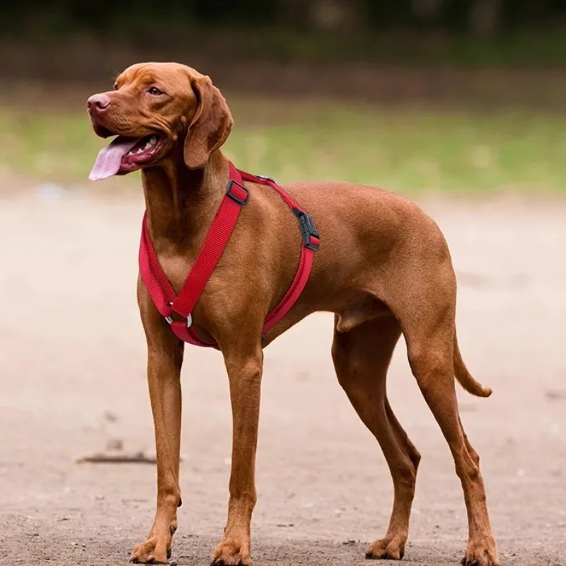 Leisure H-shaped Chest and Back Anti Slip Small Medium and Large Dog Outdoor Vest Style Pet Dog Strap Portable Accessories 
Leisure H-shaped Chest and Back Anti Slip Small Medium and Large Dog Outdoor Vest Style Pet Dog Strap Portable Accessories