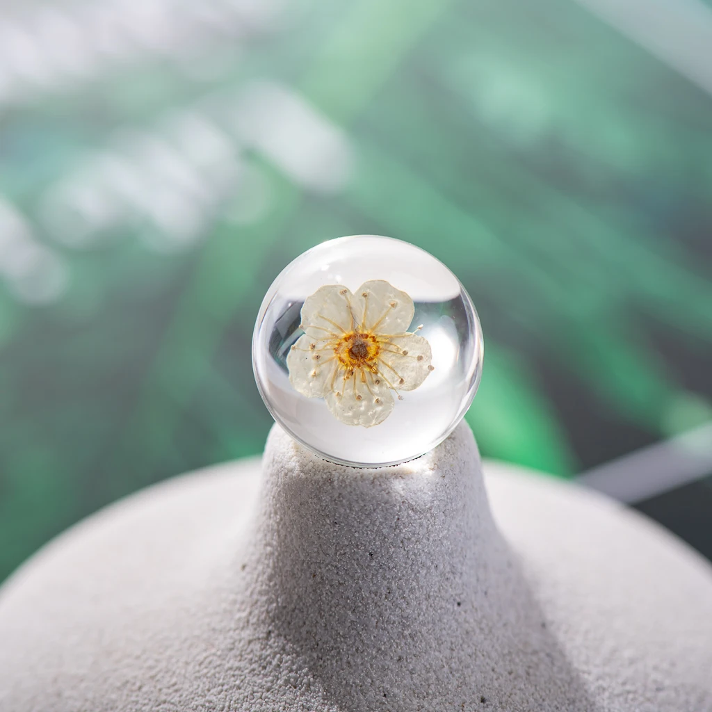 20# No-hook Solid Real Dried Flower Spherical glass Ball Without Hook Glass beads #GY421
20# No-hook Solid Real Dried Flower Spherical glass Ball Without Hook Glass beads #GY421
