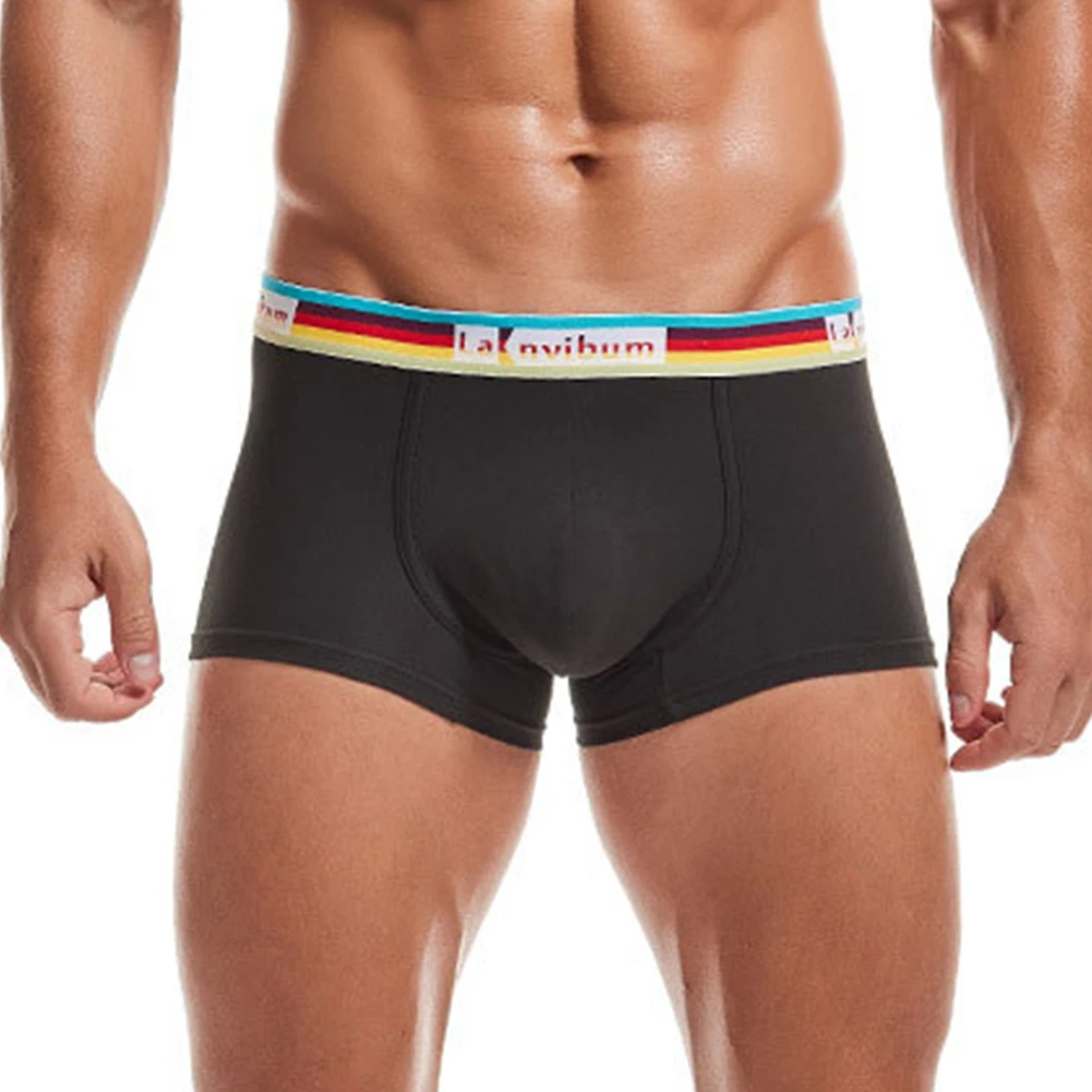 Sexy Men Cotton Boxers Underwear Low Waist U Pouch Briefs Thread Soft Comfort Trunks Daily Breathable Shorts Underpants
Sexy Men Cotton Boxers Underwear Low Waist U Pouch Briefs Thread Soft Comfort Trunks Daily Breathable Shorts Underpants