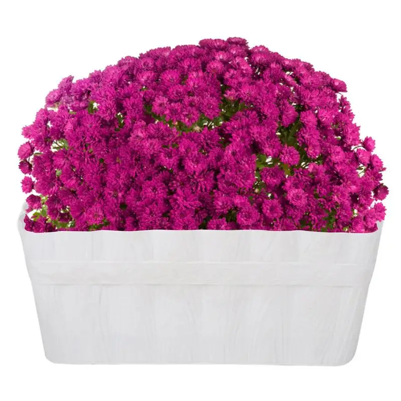 Country Flower Box Plant Desktop Flower Pot Creative Tree Pattern Small Flower Pot Indoor Balcony Cultivation Pot
Country Flower Box Plant Desktop Flower Pot Creative Tree Pattern Small Flower Pot Indoor Balcony Cultivation Pot