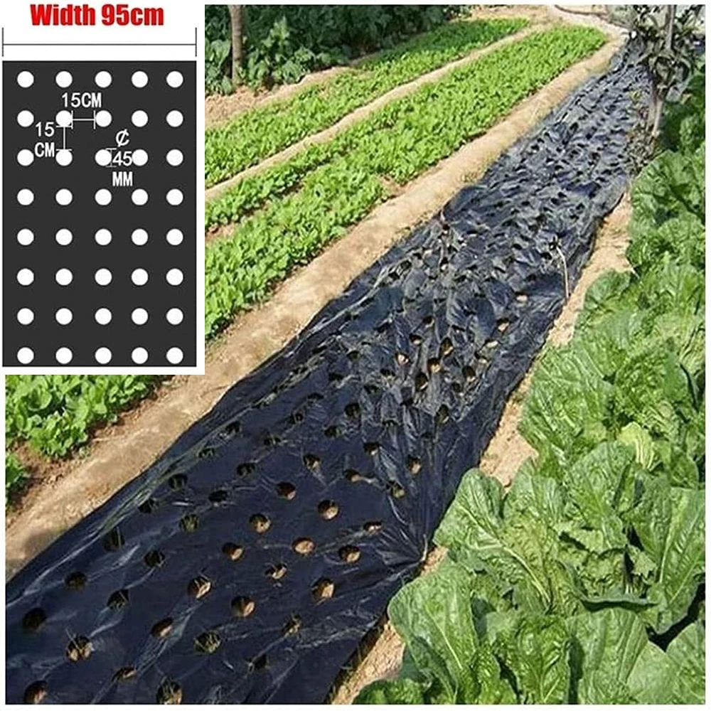 

5-Holes Greenhouse Perforated PE Film 95cm Width 0.02mm Thickness Agriculture Weeding Black Mulch Garden Vegetable Membrane