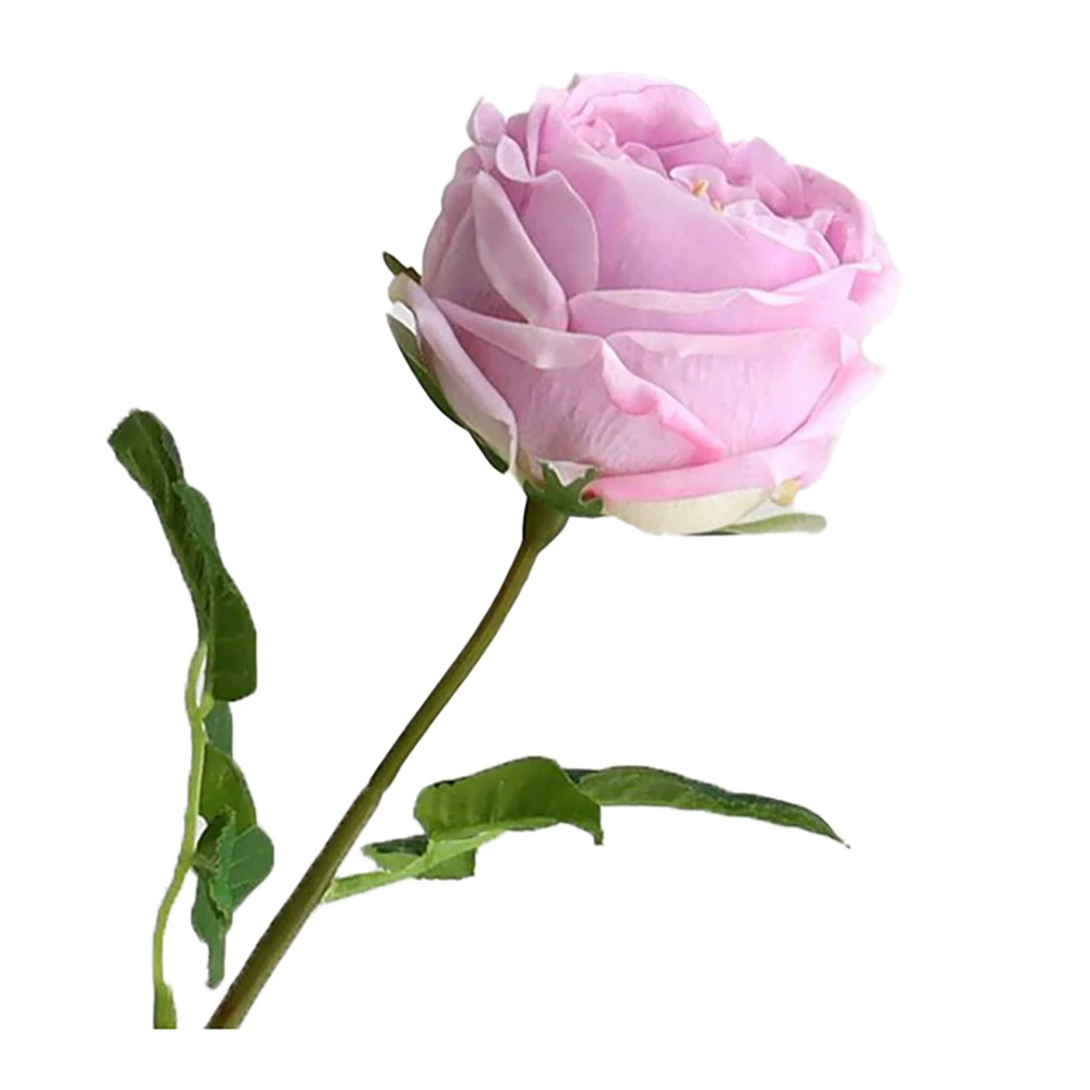 

Искусственные розы Остина 6 шт./партия, Европейский Свадебный букет невесты, украшение для дома, 3D Цветочная композиция