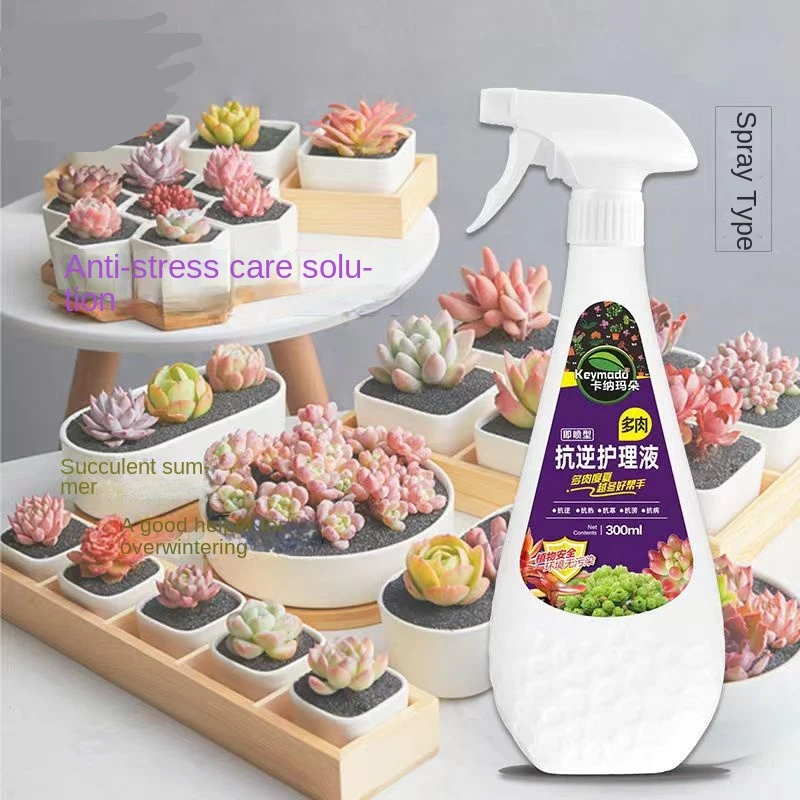 Succulent Anti-stress Care Solution Succulent Special Anti-heat and Cold Rooting and Budding Nutrition Solution 300ML
Succulent Anti-stress Care Solution Succulent Special Anti-heat and Cold Rooting and Budding Nutrition Solution 300ML