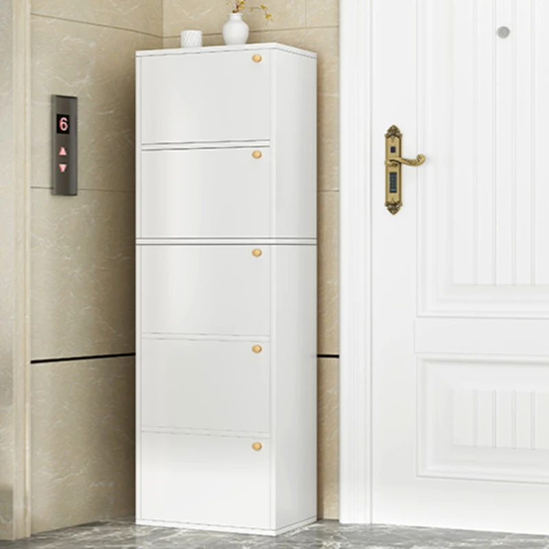 Vertical Dust Shoe Rack Hallway Portable Multilayer Small Entryway Shoe Cabinets Modern Design Simple Armarios Home Furniture
Vertical Dust Shoe Rack Hallway Portable Multilayer Small Entryway Shoe Cabinets Modern Design Simple Armarios Home Furniture