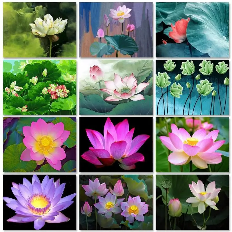 RUOPOTY Lotus Diy Painting By Numbers For Adults Beginner 40x50cm Flowers Paint By Numbers Diy Handiwork For Personalized Gift
RUOPOTY Lotus Diy Painting By Numbers For Adults Beginner 40x50cm Flowers Paint By Numbers Diy Handiwork For Personalized Gift