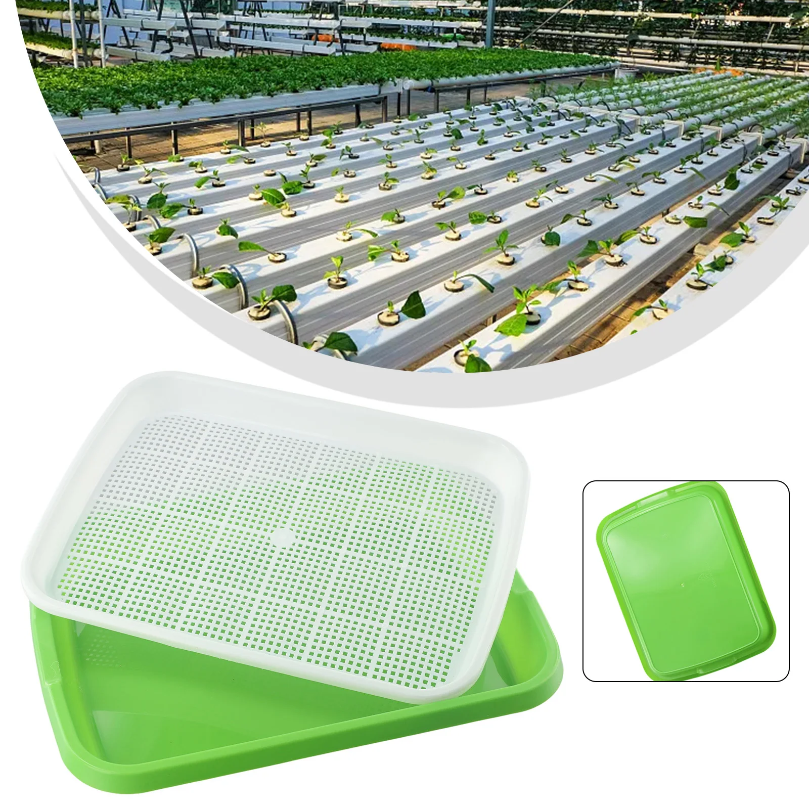 Sprouting Tray Microgreens Tray Hydroponic Sprouting Tray Brussels Sprouts Tray Brussels Sprouts Nursery Tray Garden Tool
Sprouting Tray Microgreens Tray Hydroponic Sprouting Tray Brussels Sprouts Tray Brussels Sprouts Nursery Tray Garden Tool