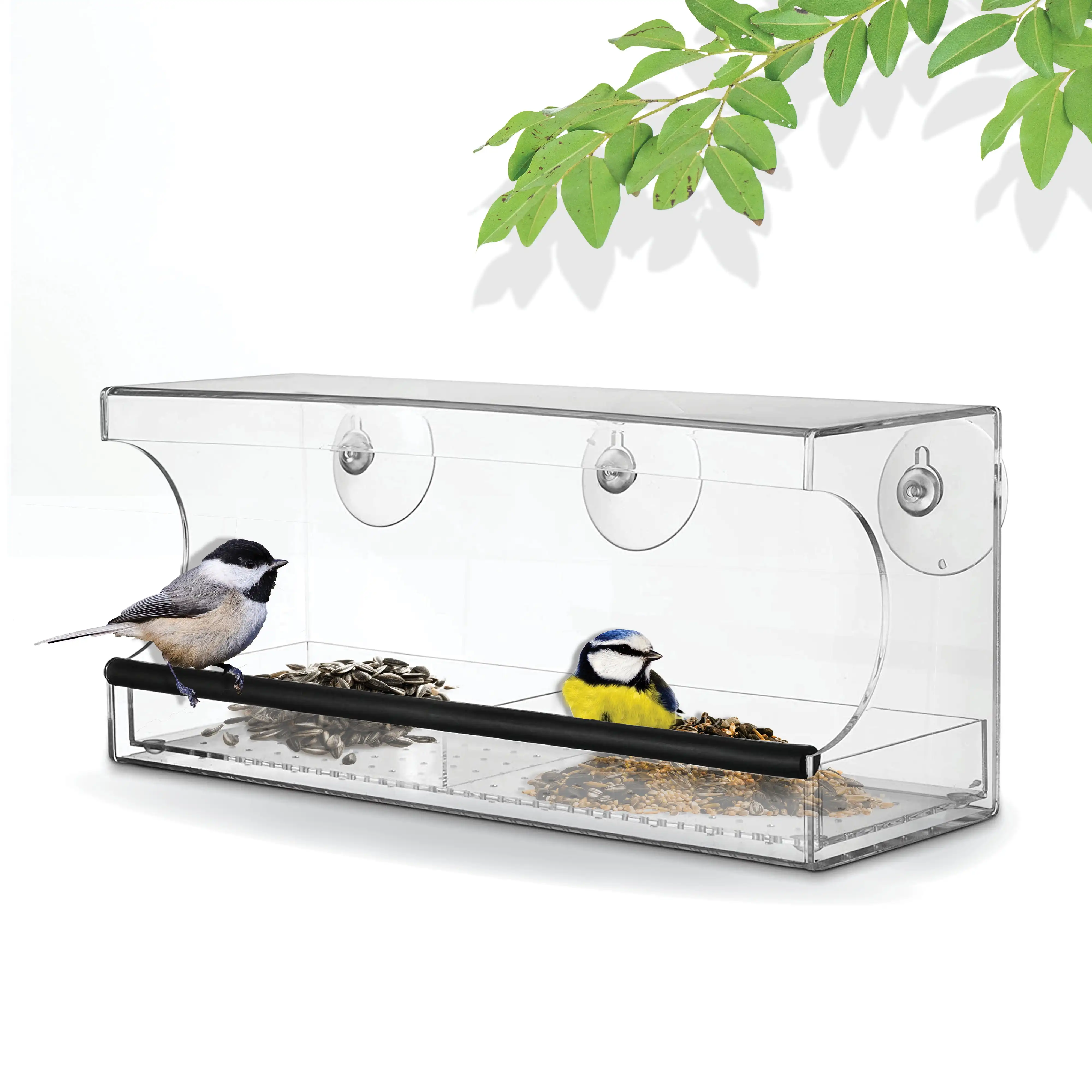 Backyard Expressions Window Bird Feeder | Clear Seed Tray | Firmly Attaches To Window w/ Strong Suction Cups
Backyard Expressions Window Bird Feeder | Clear Seed Tray | Firmly Attaches To Window w/ Strong Suction Cups