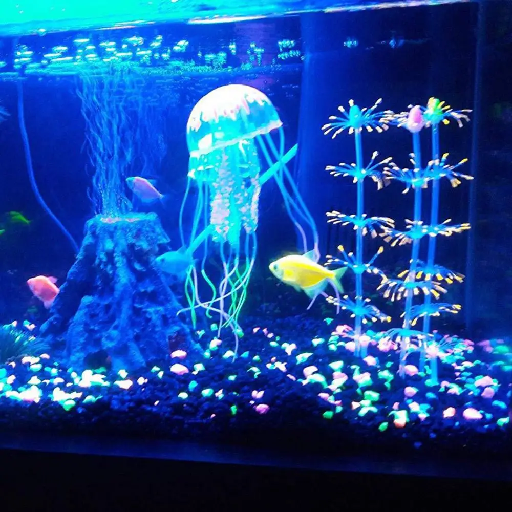 4 шт./набор, силиконовые баки для аквариума
4 шт./набор, силиконовые баки для аквариума