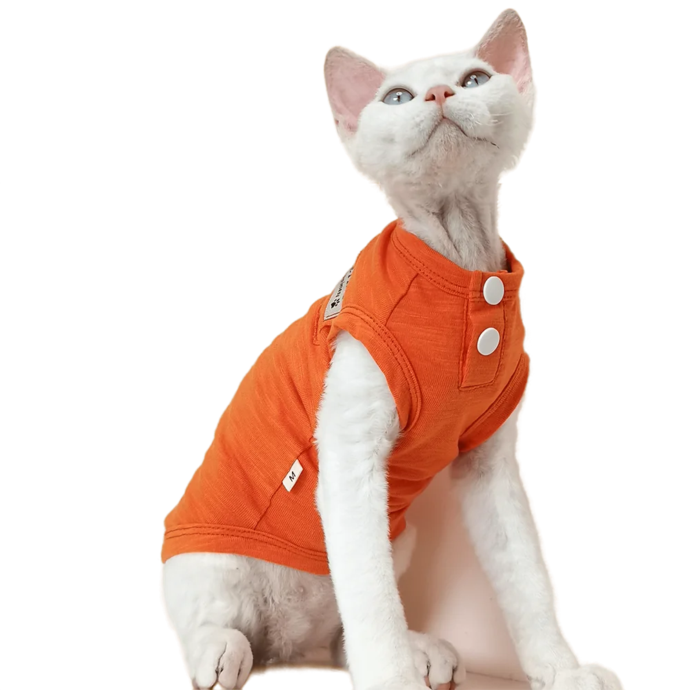 Breathable Cotton Pet Vest, Skin-Friendly, Kitten Outfits, Sphinx Hairless, Devon Rex Clothes for Cat Sphynx, Summer
Breathable Cotton Pet Vest, Skin-Friendly, Kitten Outfits, Sphinx Hairless, Devon Rex Clothes for Cat Sphynx, Summer