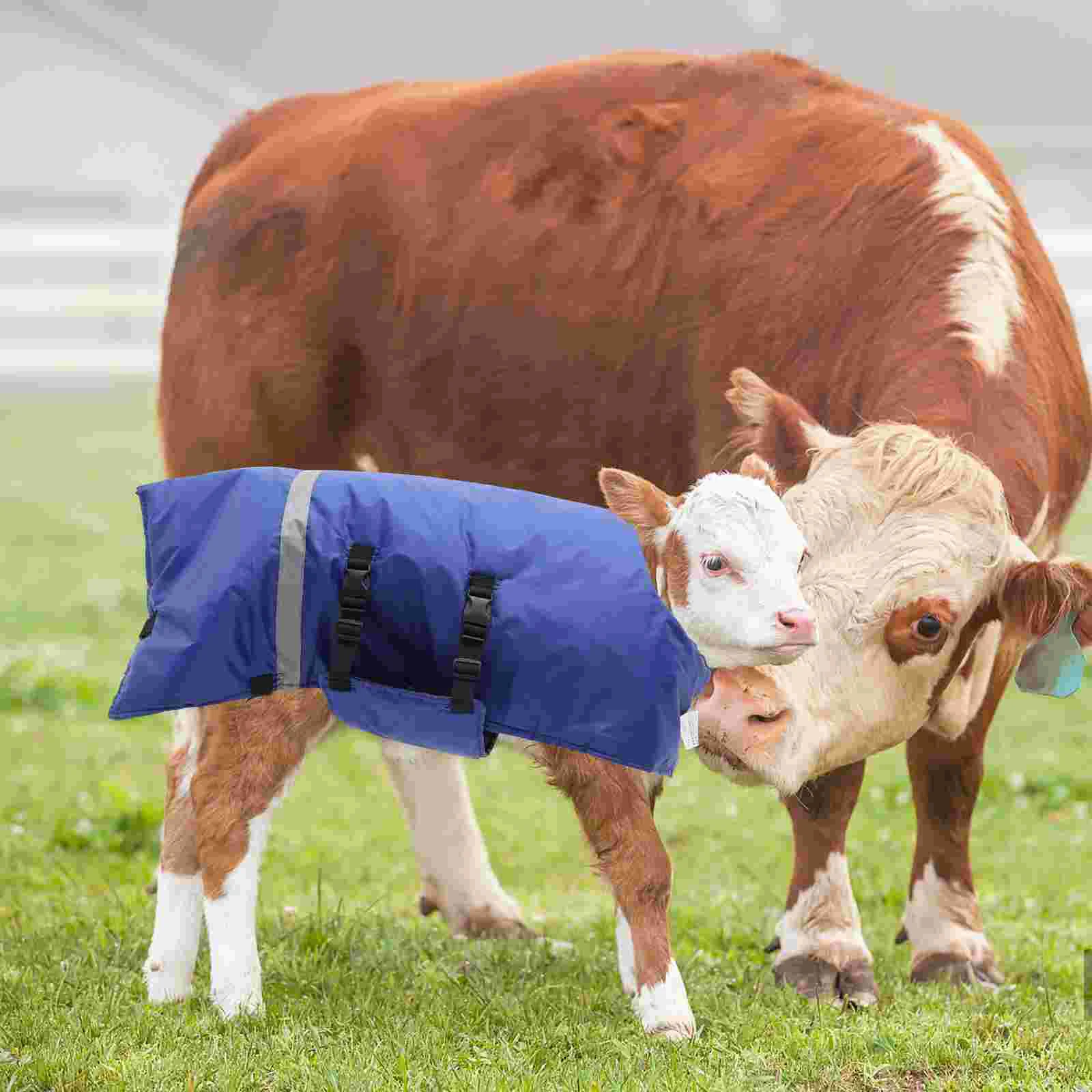 Farm Calf Vest Warm Clothing Winter Coat Warm Apparel Pasture Cold Proof Clothing Calf Dog Wrap Thermal Insulation Coat Vest
Farm Calf Vest Warm Clothing Winter Coat Warm Apparel Pasture Cold Proof Clothing Calf Dog Wrap Thermal Insulation Coat Vest