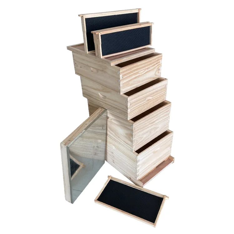 Beekeeping equipment National beehive suppliers insulated wooden beehive box Langstroth beehive with 4 boxes
Beekeeping equipment National beehive suppliers insulated wooden beehive box Langstroth beehive with 4 boxes