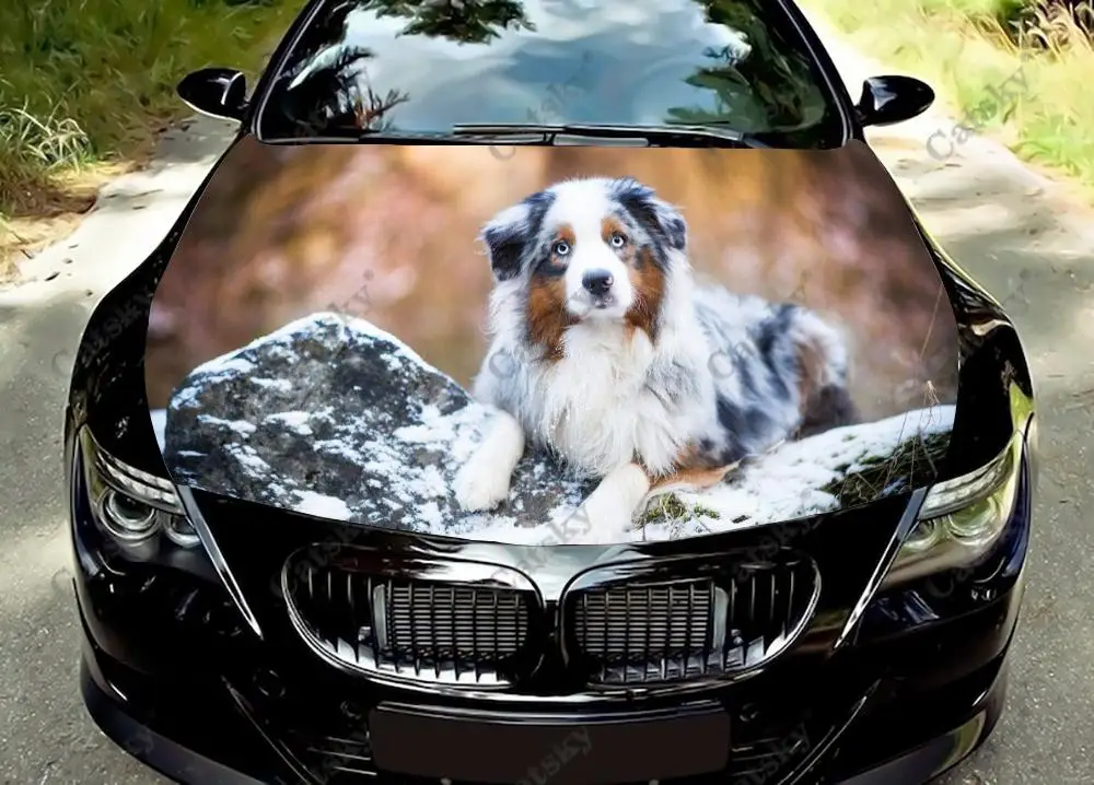 Animal Custom Winter Dog Car Hood Vinyl Sticker Wrap Engine Cover Decal Sticker Full Color Graphic Fit Any Car Protective Film
Animal Custom Winter Dog Car Hood Vinyl Sticker Wrap Engine Cover Decal Sticker Full Color Graphic Fit Any Car Protective Film