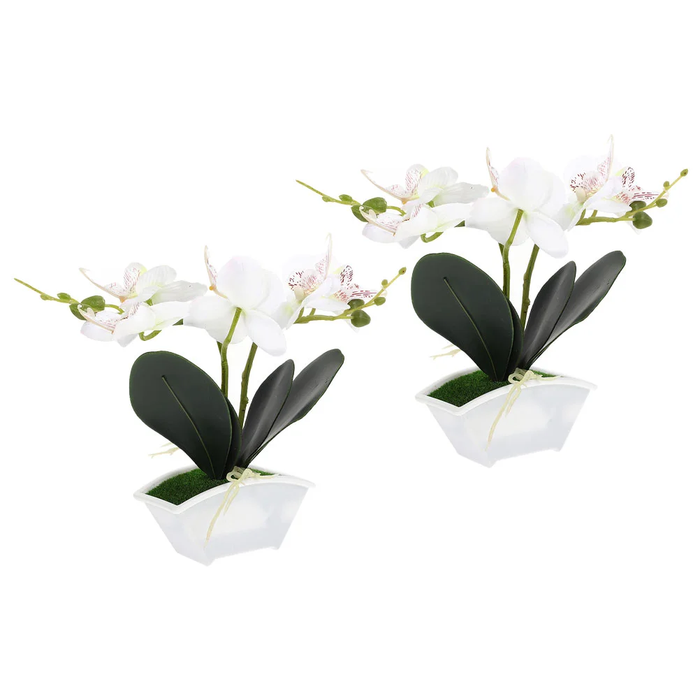 2 Pcs Fake Flower Simulation Phalaenopsis Plant Bonsai Desktop Potted Artificial White Vivid Faux Ornament
2 Pcs Fake Flower Simulation Phalaenopsis Plant Bonsai Desktop Potted Artificial White Vivid Faux Ornament