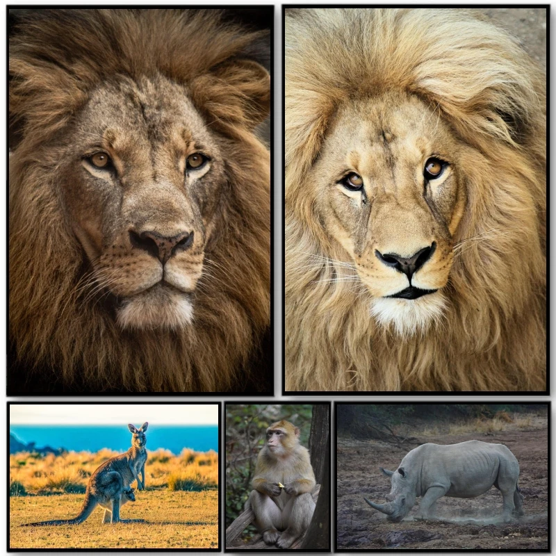 Anime Posters Lion Animal face Comics Pictures Kid Action Figures Home Room Painting Christmas Gifts Decorative Wall Decoration
Anime Posters Lion Animal face Comics Pictures Kid Action Figures Home Room Painting Christmas Gifts Decorative Wall Decoration