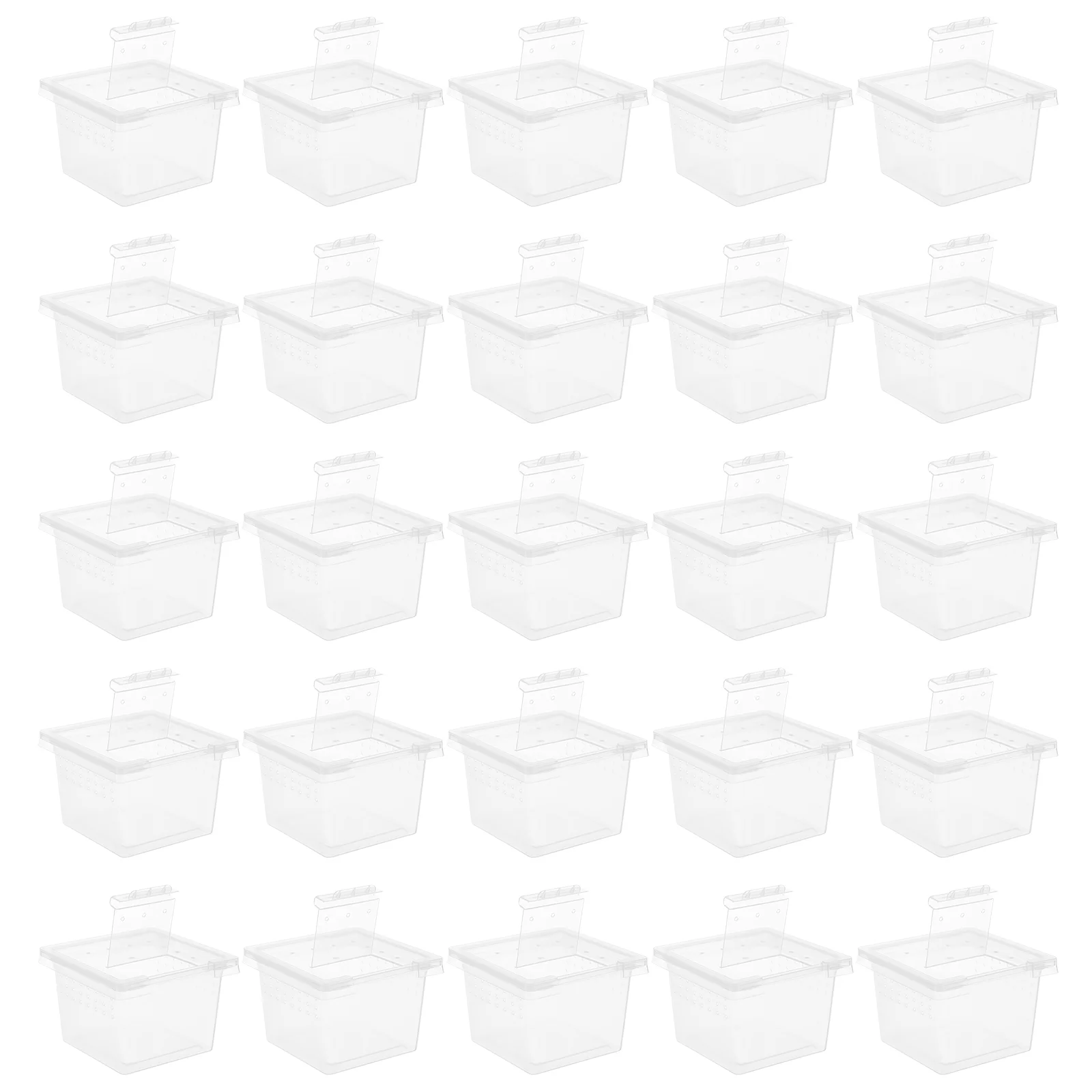 100 Pcs Pet Feeding Box Spider Cage Terrarium for Reptiles Glass Food Containers Insect
100 Pcs Pet Feeding Box Spider Cage Terrarium for Reptiles Glass Food Containers Insect
