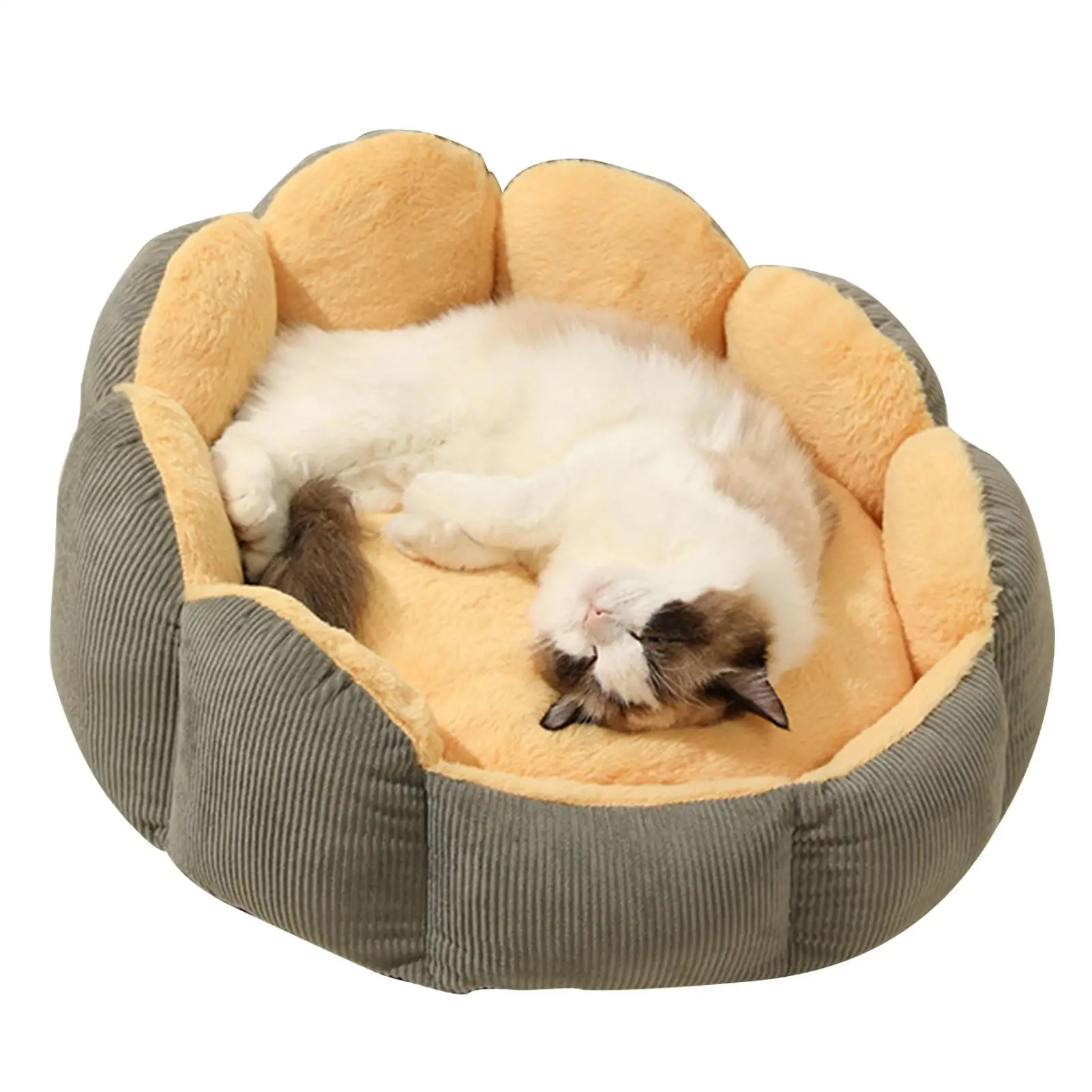 Cat Dog Cuddler Bed Calming Round Soft Plush Corduroy Donut Cuddler Dog Bed Donut Cuddler Dog And Cat Bed Washable Removable
Cat Dog Cuddler Bed Calming Round Soft Plush Corduroy Donut Cuddler Dog Bed Donut Cuddler Dog And Cat Bed Washable Removable