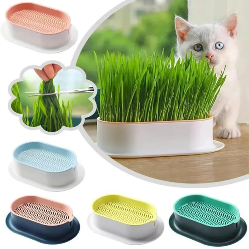 

1set Pet Cat Sprout Dish Growing Pot Hydroponic Plant Cat Grass Germination Digestion Starter Dish Greenhouse Grow Box