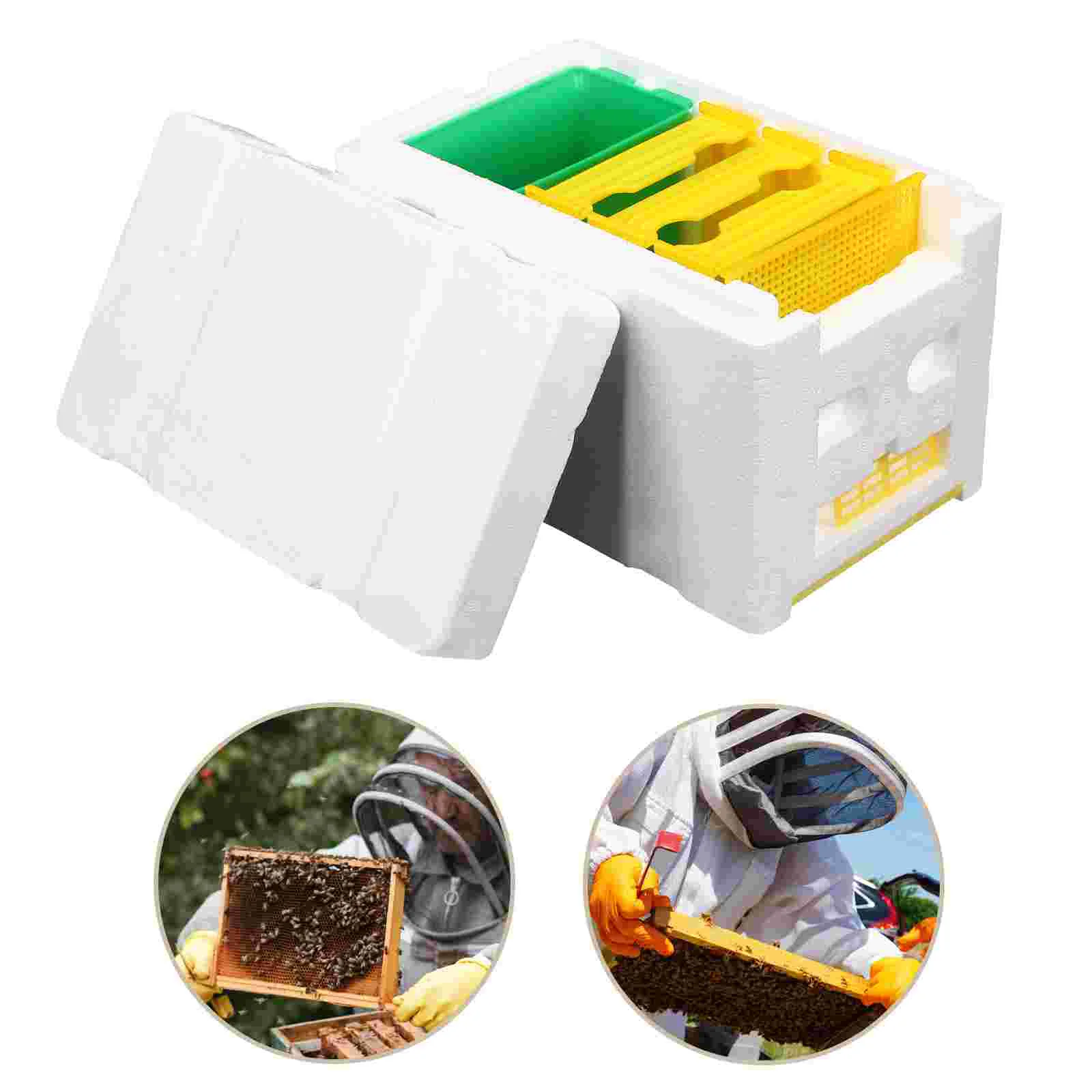 Beehive Complete Kit Feeder Starter Keeper Starting Plastic Beekeeper Accessory Honeybees
Beehive Complete Kit Feeder Starter Keeper Starting Plastic Beekeeper Accessory Honeybees