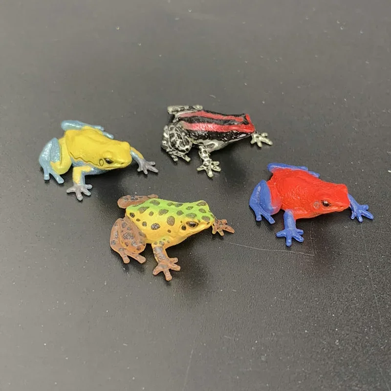 THE Doll BEST Figure NTC Arrow Poison Frog Ornament Accessories Pretend Play Children Collection Toy
THE Doll BEST Figure NTC Arrow Poison Frog Ornament Accessories Pretend Play Children Collection Toy