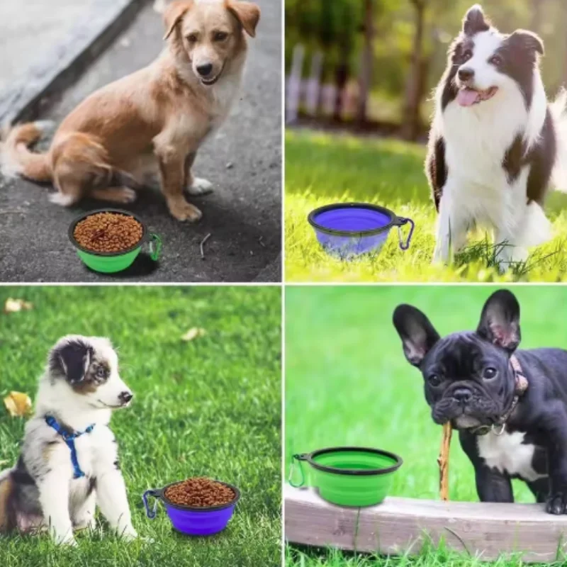 Durable TPR Portable Pet Food Bowl Collapsible Travel Bowl Durable TPR Portable Pet Food Bowl Collapsible Travel Bowl