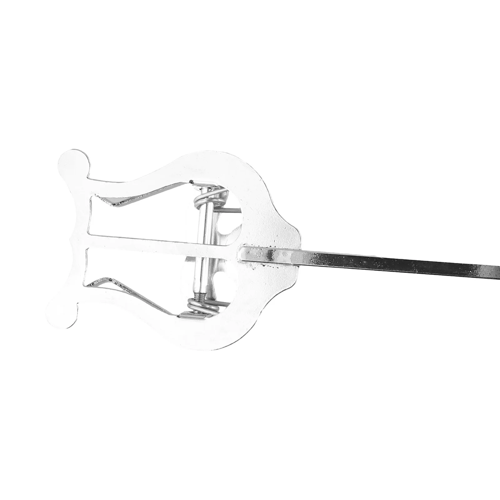 1pc Trumpet Marching Clamp Portable Metal Trumpet Marching Lyre Clamp On Stand Lightweight Sheet Music Clip Accessories
1pc Trumpet Marching Clamp Portable Metal Trumpet Marching Lyre Clamp On Stand Lightweight Sheet Music Clip Accessories