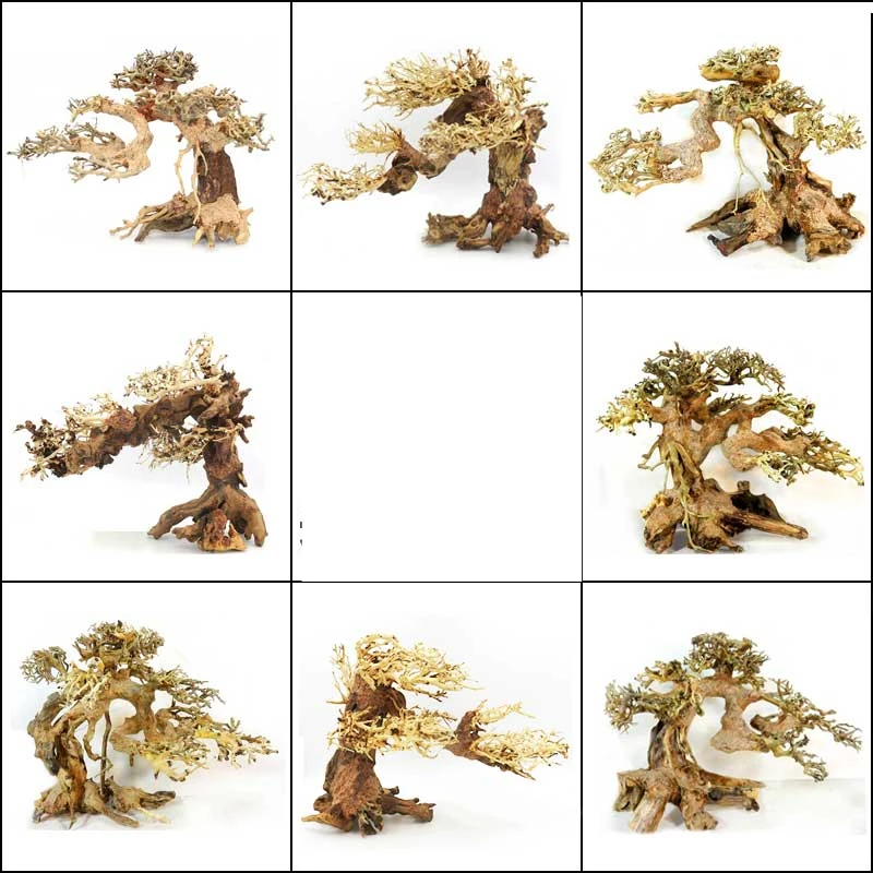 Tree Submerged Wood Welcome Pine Fish Tank Landscape Wood Grass Tank Finished Azalea Root Skeleton
Tree Submerged Wood Welcome Pine Fish Tank Landscape Wood Grass Tank Finished Azalea Root Skeleton