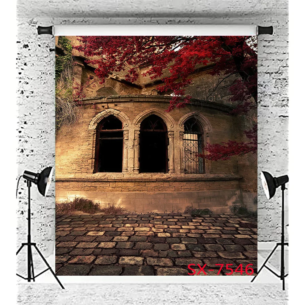 SHENGYONGBAO European Architecture Scenic Spots Street View Photography Art Cloth Background Prop YL-06
SHENGYONGBAO European Architecture Scenic Spots Street View Photography Art Cloth Background Prop YL-06