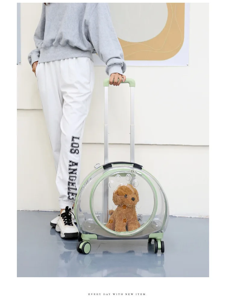 S5baf7c0d806a4edb91d586a16730987ez